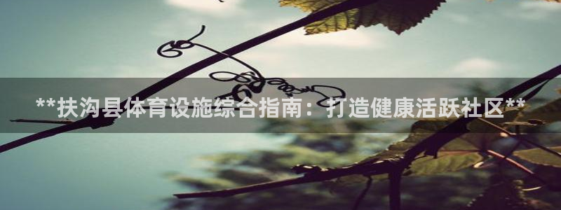 意昂3娱乐代理怎么样