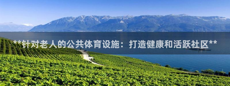 意昂3娱乐40996：**针对老人的公共体育设施：打