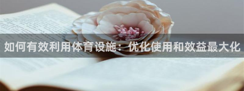 意昂平台体育