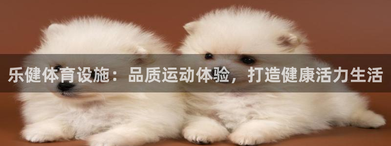意昂3新能源：乐健体育设施：品质运动体验，打造健康活