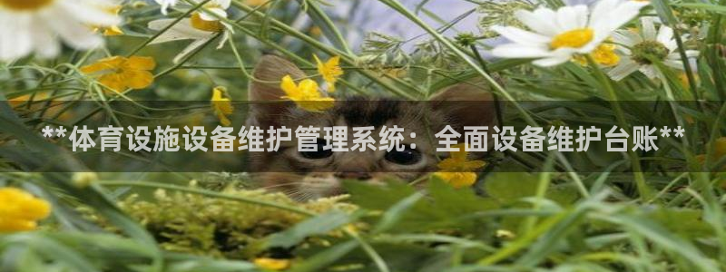 意昂3娱乐代理怎么样：**体育设施设备维护管理系统：