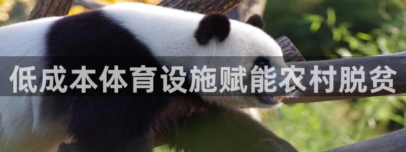 意昂体育3平台注册：低成本体育设施赋能农村脱贫