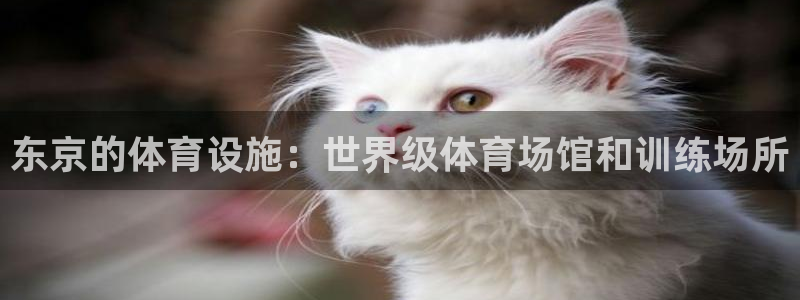 意昂3神州：东京的体育设施：世界级体育场馆和训练场所