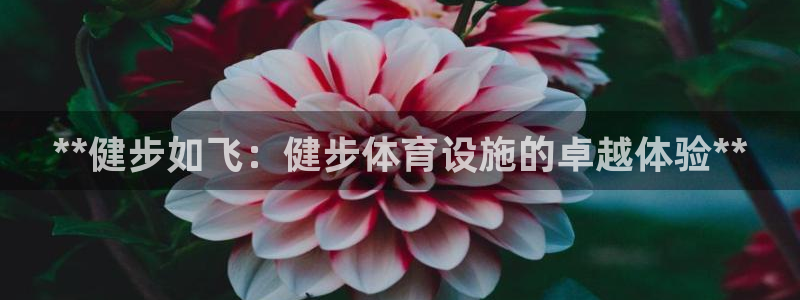 意昂体育3平台假的吗是真的吗吗