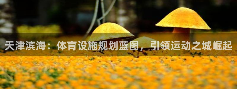 意昂3代理：天津滨海：体育设施规划蓝图，引领运动之城