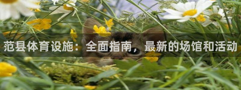 意昂体育3平台注册：范县体育设施：全面指南，最新的场