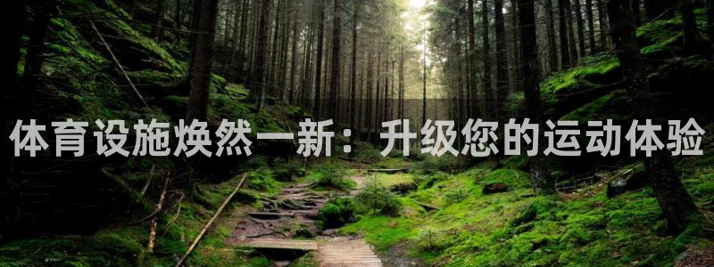 意昂体育3注册：体育设施焕然一新：升级您的运动体验