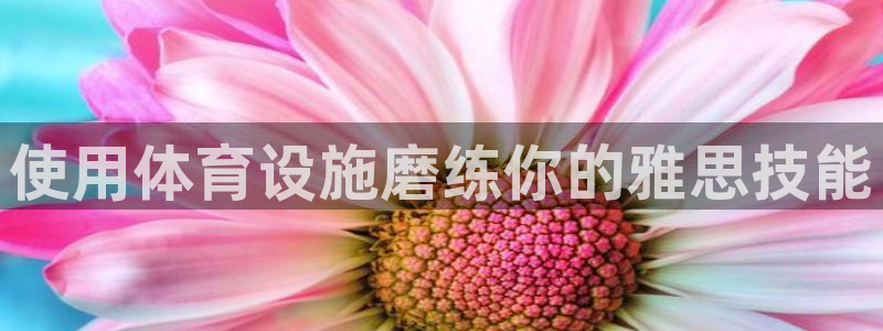 意昂体育3平台注册要钱吗：使用体育设施磨练你的雅思技