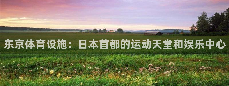 意昂体育3招商电话号码：东京体育设施：日本首都的运动