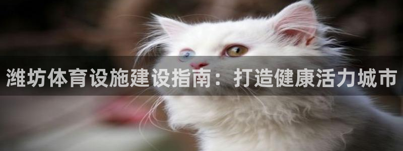意昂3集团简介：潍坊体育设施建设指南：打造健康活力城