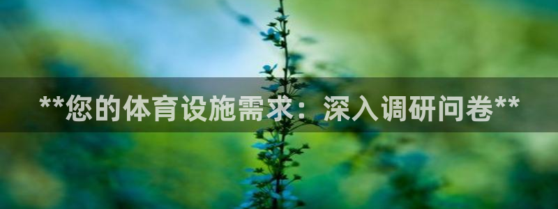 意昂体育3招商电话：**您的体育设施需求：深入调研问