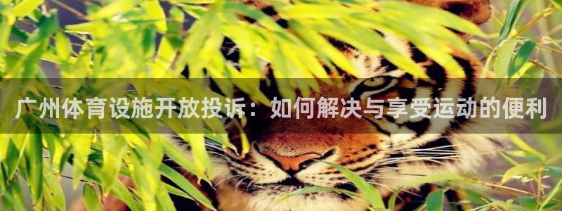 意昂3新能源：广州体育设施开放投诉：如何解决与享受运
