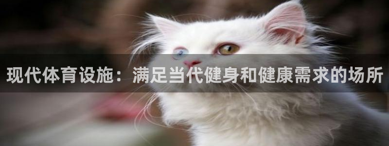 意昂体育3平台注册：现代体育设施：满足当代健身和健康