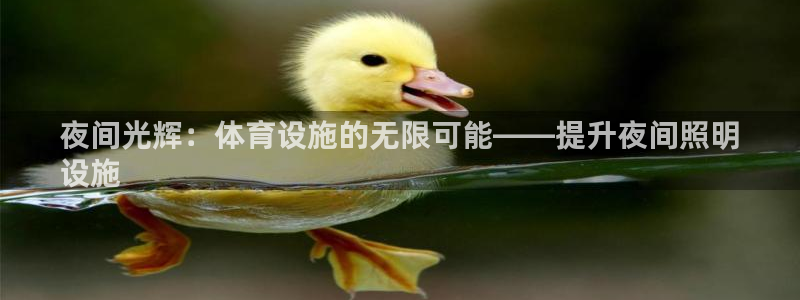 意昂体育3平台注册流程图：夜间光辉：体育设施的无限可