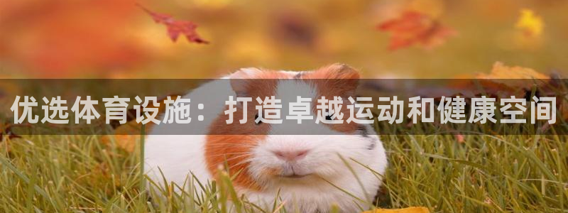 意昂体育3：优选体育设施：打造卓越运动和健康空间