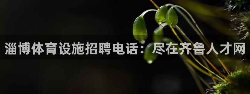 意昂体育3招商电话