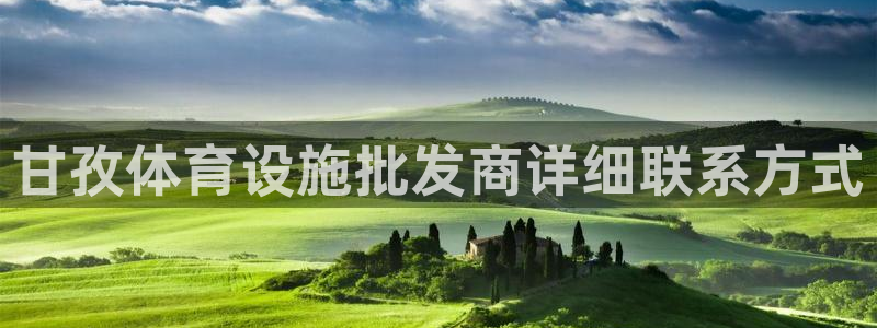 意昂体育3是干嘛的公司