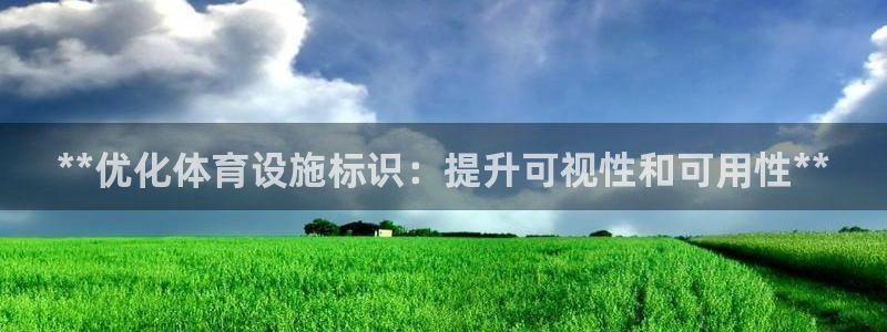 意昂体育3是干嘛的公司：**优化体育设施标识：提升可