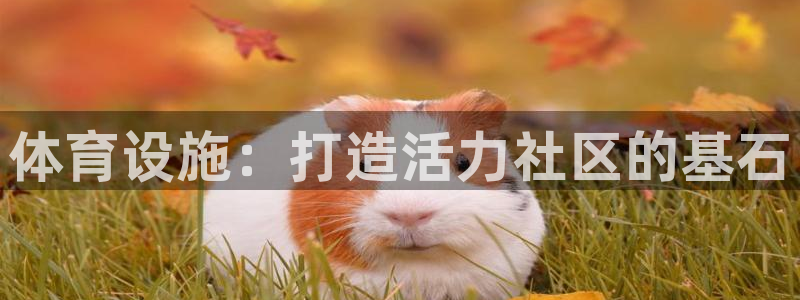 意昂3娱乐平台