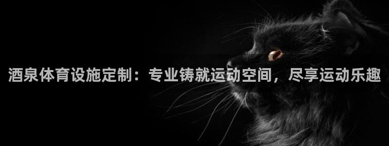 意昂体育3平台注册：酒泉体育设施定制：专业铸就运动空