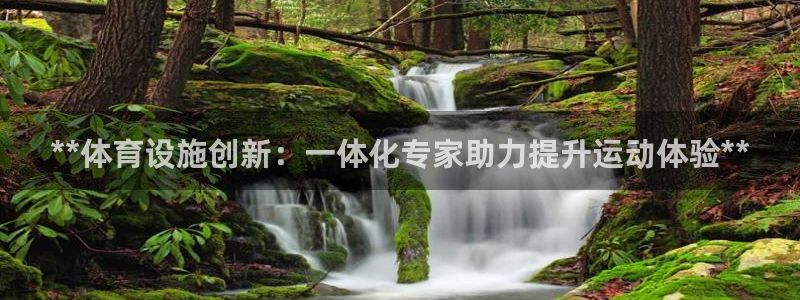 意昂体育3平台注册要钱吗：**体育设施创新：一体化专