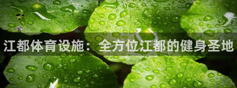 意昂体育3招商电话号码是多少：江都体育设施：全方位江都的健身