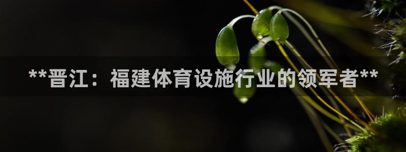 意昂3娱乐下载