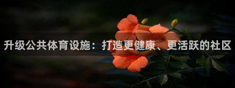 意昂体育3招商电话号码查询是多少