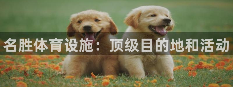 意昂3开户：名胜体育设施：顶级目的地和活动