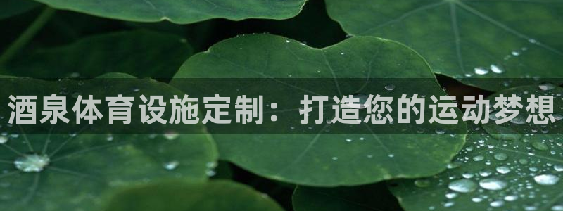 意昂体育3平台注册要钱吗：酒泉体育设施定制：打造您的运动梦想