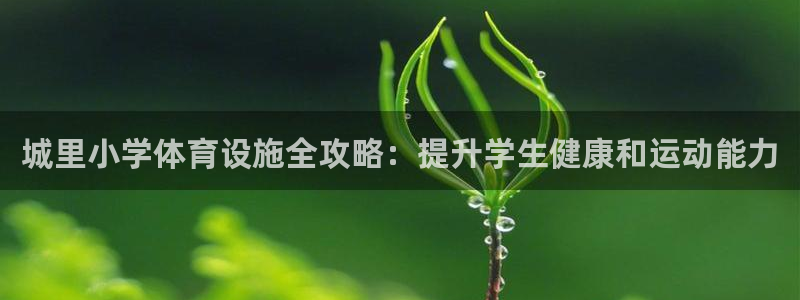 意昂3娱乐网站：城里小学体育设施全攻略：提升学生健康和运动能 