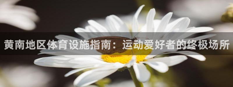 意昂集团官网：黄南地区体育设施指南：运动爱好者的终极场所