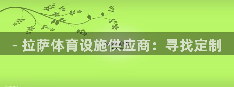 海南意昂体育3发展怎么样：- 拉萨体育设施供应商：寻