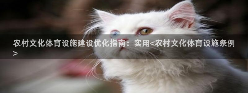 意昂体育3平台注册要钱吗安全吗：农村文化体育设施建设