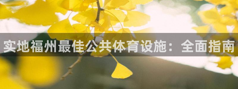 意昂3集团：实地福州最佳公共体育设施：全面指南
