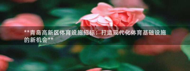 意昂3代理：**青岛高新区体育设施招标：打造现代化体