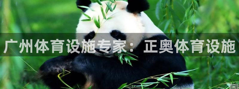 意昂体育3招商电话号码