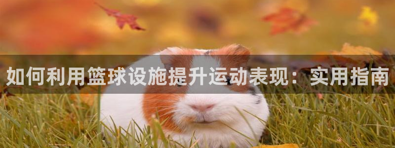 意昂体育3平台注册要钱吗是真的吗：如何利用篮球设施提