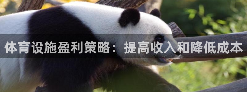 意昂3新能源：体育设施盈利策略：提高收入和降低成本
