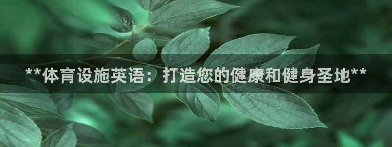 意昂体育3招商电话号码是多少啊：**体育设施英语：打