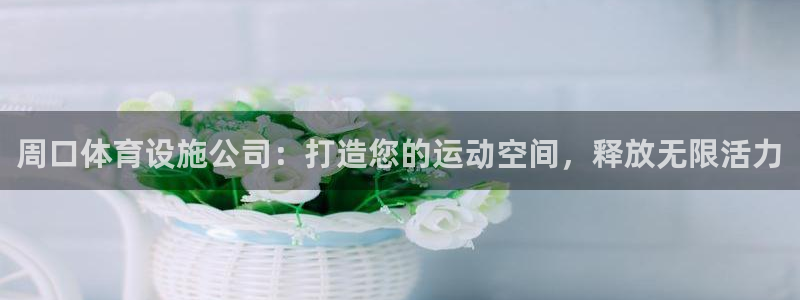 意昂体育3招商：周口体育设施公司：打造您的运动空间，