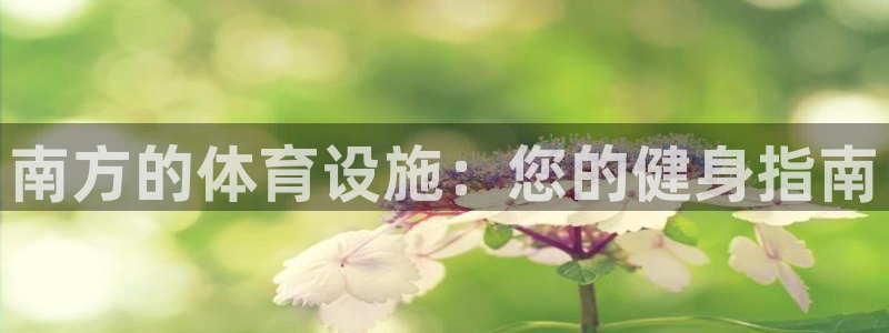 意昂平台体育：南方的体育设施：您的健身指南