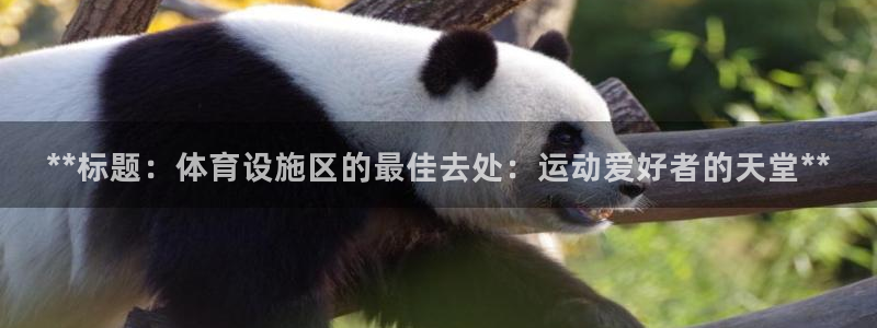 意昂体育3招商电话号码是多少号