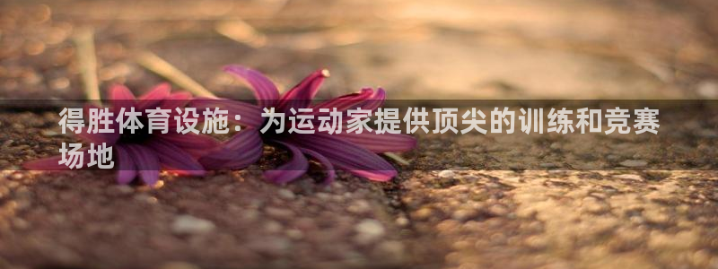 海南意昂体育3：得胜体育设施：为运动家提供顶尖的训练