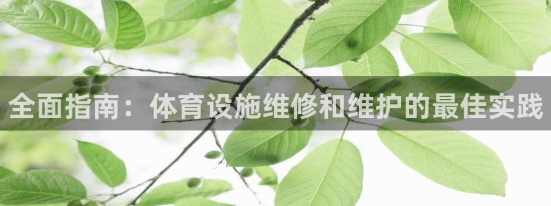 意昂体育3：全面指南：体育设施维修和维护的最佳实践