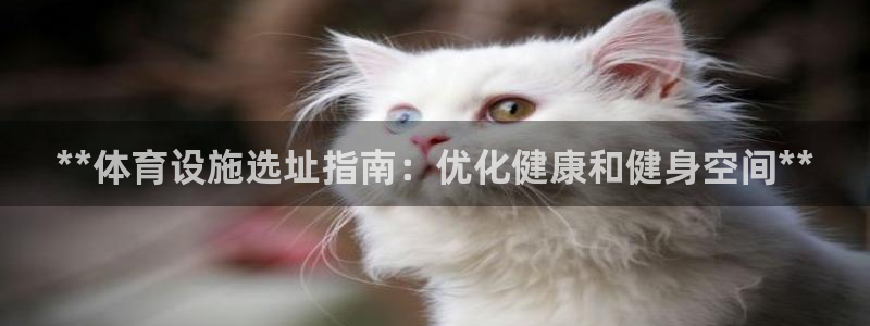 意昂3娱乐是那个系列的台子：**体育设施选址指南：优