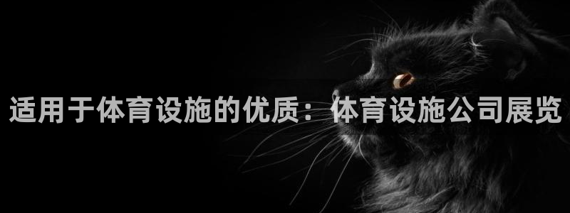 意昂体育3招商：适用于体育设施的优质：体育设施公司展