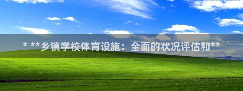 意昂3集团官网首页网址：* **乡镇学校体育设施：全