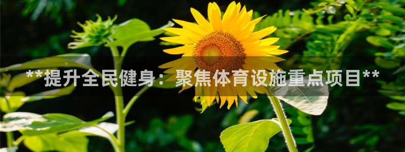 意昂3集团官网首页网址：**提升全民健身：聚焦体育设