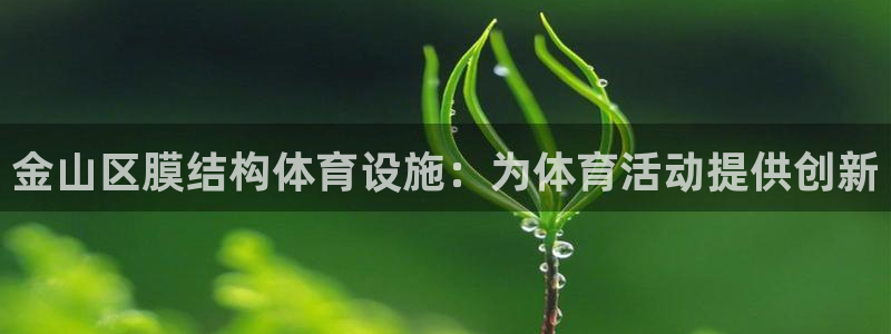 意昂体育3软件：金山区膜结构体育设施：为体育活动提供
